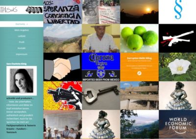WordPress Website für eine Journalistin als Blog in Mexiko