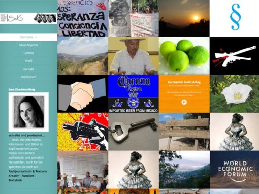 WordPress Website für eine Journalistin als Blog in Mexiko
