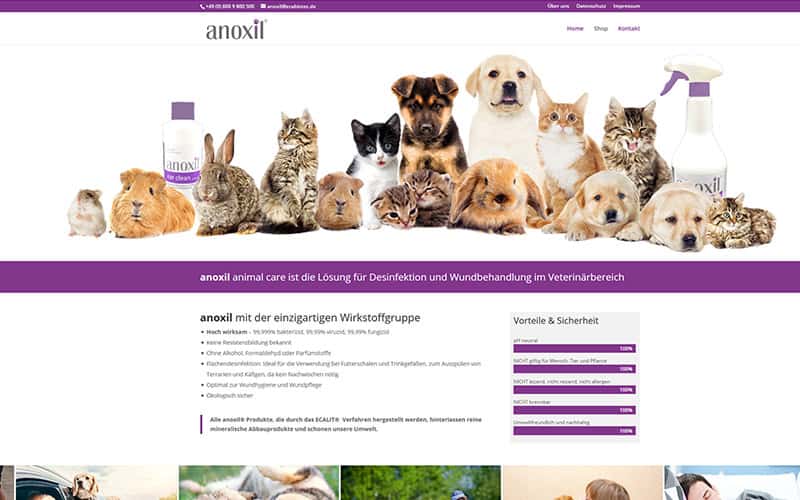 Webshop WordPress