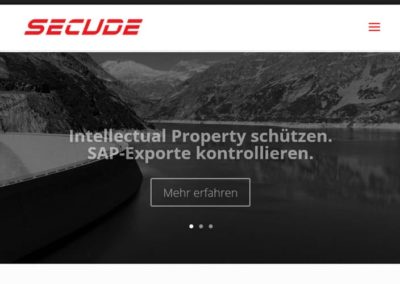 WordPress Website für Security Lösungen SAP