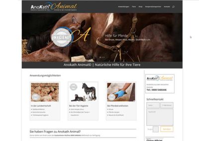 Erstellung einer Homepage für Tierpflege