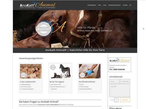 Erstellung einer Homepage für Tierpflege