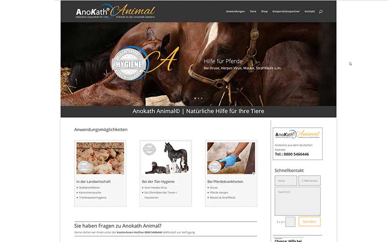 Homepage-für-anokath