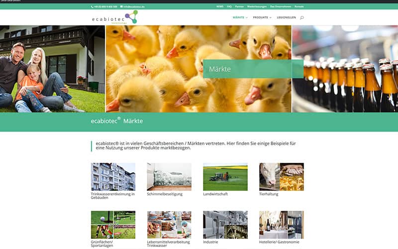 Homepage Erstellung Mörfelden Walldorf