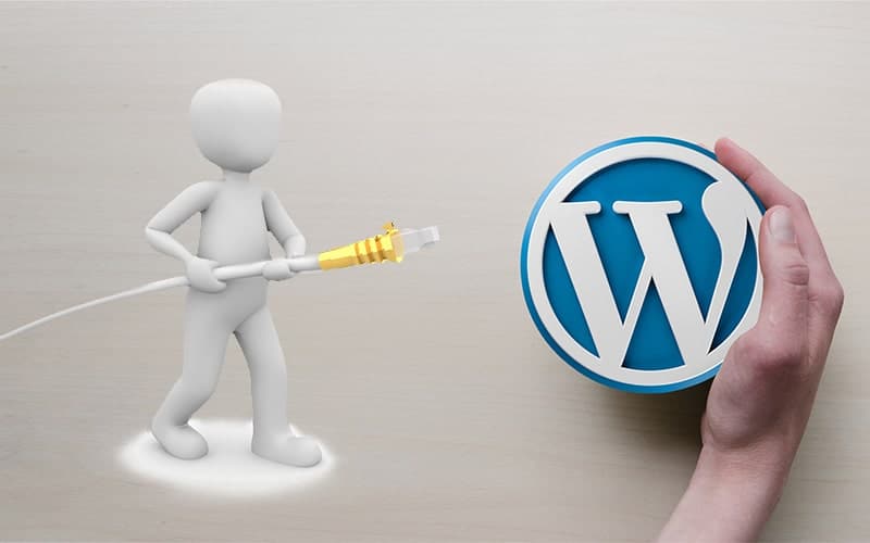 Was sind WordPress Plugins?