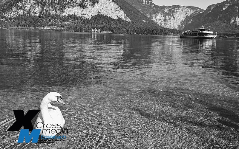 Hallstadt: Mein lieber Schwan | Gephotoshopped