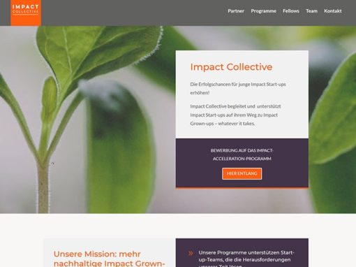 Homepage Nachbau mit WordPress und Divi