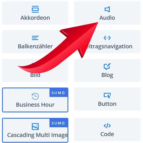 Divi Modul Audio