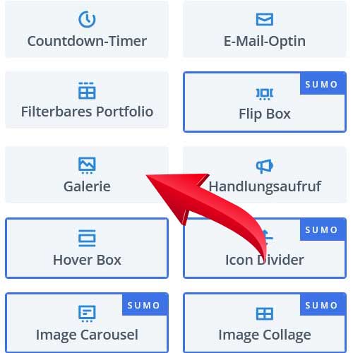 Gallery Modul von Divi / WordPress