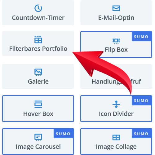 Filterbares Portfolio Modul von Divi / WordPress