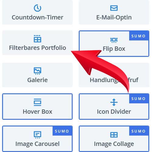 filterbares-PortfolioModul-Divi